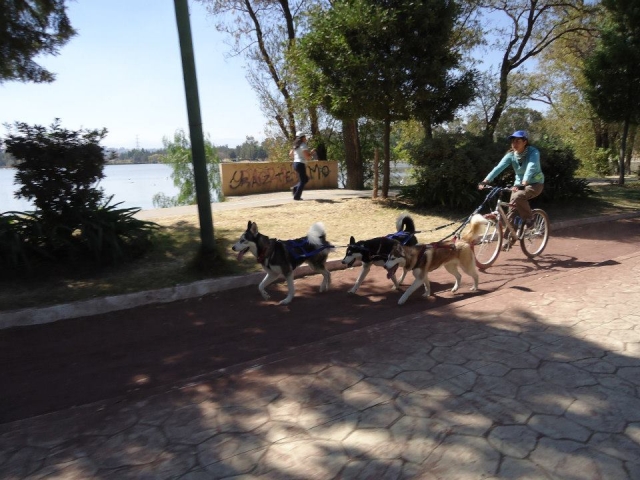 En el lago